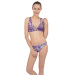 Purple & Gold  CBDOilPrincess E70d1a7c-502f-48a3-839e-eea25bfe4633 Classic Banded Bikini Set 