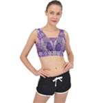 Purple & Gold  CBDOilPrincess E70d1a7c-502f-48a3-839e-eea25bfe4633 V-Back Sports Bra