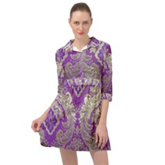 Mini Skater Shirt Dress 