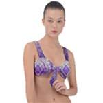 Purple & Gold  CBDOilPrincess E70d1a7c-502f-48a3-839e-eea25bfe4633 Front Tie Bikini Top