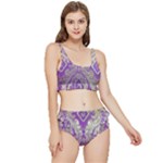 Purple & Gold  CBDOilPrincess E70d1a7c-502f-48a3-839e-eea25bfe4633 Frilly Bikini Set