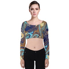 Velvet Long Sleeve Crop Top 