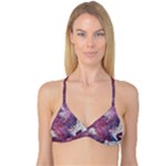 Violet feathers Reversible Tri Bikini Top