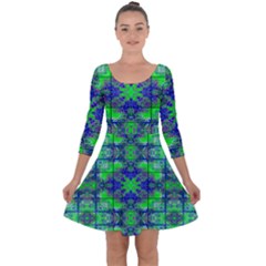 Quarter Sleeve Skater Dress 