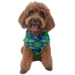 Frequencee Dog Sweater