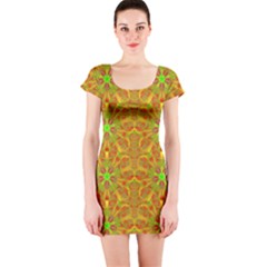Short Sleeve Bodycon Dress Front Short Sleeve Bodycon Dress Front