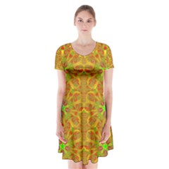 Mocha Morning (2) Short Sleeve V