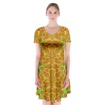 Mocha Morning (2) Short Sleeve V-neck Flare Dress