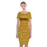 Mocha Morning (2) Classic Short Sleeve Midi Dress