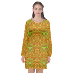 Long Sleeve Chiffon Shift Dress  