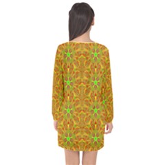 Long Sleeve Chiffon Shift Dress  