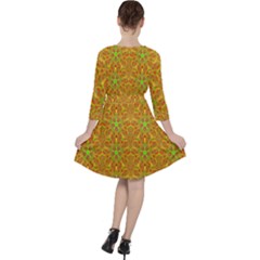 Quarter Sleeve Ruffle Waist Dress 