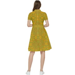 Short Sleeve Waist Detail Dress 