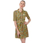 Baydello (2) Belted Shirt Dress