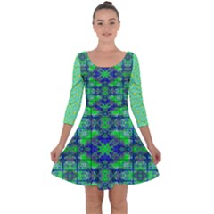 Quarter Sleeve Skater Dress 