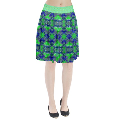 Carnatial Frequencee Pleated Skirt from ArtsNow.com