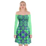 Carnatial Frequencee Off Shoulder Skater Dress