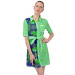 Carnatial Frequencee Belted Shirt Dress