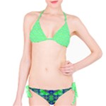 Carnatial Frequencee Classic Bikini Set