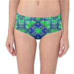 Carnatial Frequencee Mid-Waist Bikini Bottoms