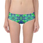 Carnatial Frequencee Classic Bikini Bottoms