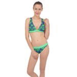 Carnatial Frequencee Classic Banded Bikini Set 
