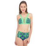 Carnatial Frequencee Cage Up Bikini Set