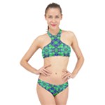 Carnatial Frequencee High Neck Bikini Set