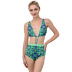 Carnatial Frequencee Tied Up Two Piece Swimsuit