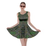 Cii (2) Idunno Skater Dress