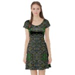 Cii (2) Idunno Short Sleeve Skater Dress