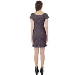 Short Sleeve Skater Dress Back Short Sleeve Skater Dress Back