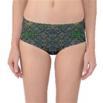 Cii (2) Idunno Mid-Waist Bikini Bottoms