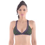 Cii (2) Idunno Plunge Bikini Top
