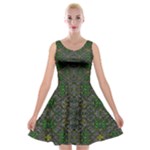 Cii (2) Idunno Velvet Skater Dress