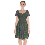 Cii (2) Idunno Short Sleeve Bardot Dress