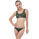 Cii (2) Idunno The Little Details Bikini Set