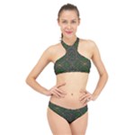 Cii (2) Idunno High Neck Bikini Set