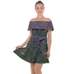 Cii (2) Idunno Off Shoulder Velour Dress