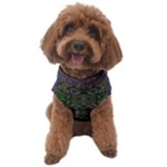 Cii (2) Idunno Dog Sweater