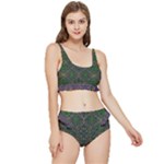 Cii (2) Idunno Frilly Bikini Set