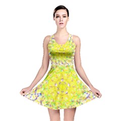 Reversible Skater Dress 
