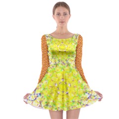 Long Sleeve Skater Dress 