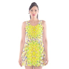 Scoop Neck Skater Dress 