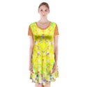 Short Sleeve V-neck Flare Dress 