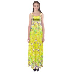 Empire Waist Maxi Dress 