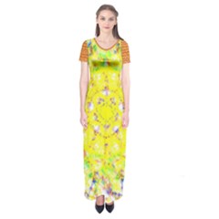 Short Sleeve Maxi Dress 