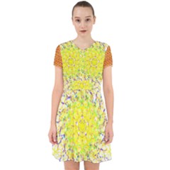 Adorable in Chiffon Dress 