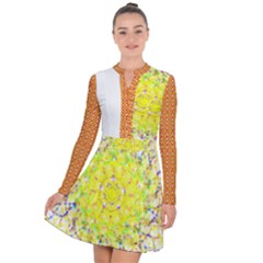 Long Sleeve Panel Dress 
