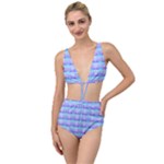 Hearting (2) Tied Up Two Piece Swimsuit